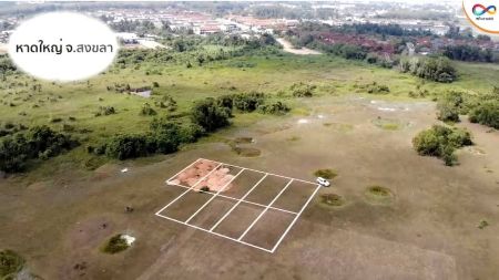 ขาย ที่ดิน ทำเลดีมีอนาคต เหมาะสร้างที่พักอาศัยหาดใหญ่ 50 ตร.วา พื้นที่สีชมพู ประเภทชุมชน รูปที่ 2