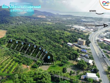 ขาย ที่ดิน ทรัพย์ดีมีอนาคตสิงหนคร 3 ไร่ 2 งาน 22.8 ตร.วา ใกล้สะพานติณฯ วิวภูเขา สิงหนคร สงขลา รูปที่ 2