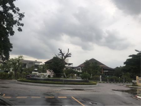 ขาย ที่ดิน รหัส 37555 ถนนแจ้งวัฒนะ เนื้อที่ 125.3 ตร.วา ใกล้ เซ็นทรัลแจ้งวัฒนะ รูปที่ 5