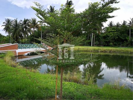 ขาย ที่ดิน รหัส 39208 พร้อมบ้านไสตล์รีสอร์ท  โพธาราม ราชบุรี เนื้อที่ 13 ไร่ 0 งาน 19.9 ตร.วา รูปที่ 3