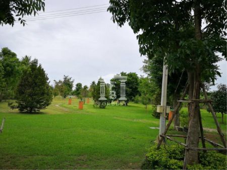 ขาย ที่ดิน รหัส 39208 พร้อมบ้านไสตล์รีสอร์ท  โพธาราม ราชบุรี เนื้อที่ 13 ไร่ 0 งาน 19.9 ตร.วา รูปที่ 2