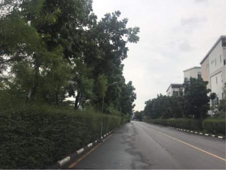 ขาย ที่ดิน รหัส 37555 ถนนแจ้งวัฒนะ เนื้อที่ 125.3 ตร.วา ใกล้ เซ็นทรัลแจ้งวัฒนะ รูปที่ 3