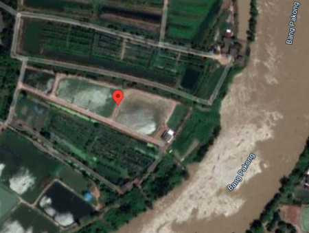 ขายที่บ่อติดแม่น้ำบางปะกง 11 ไร่ แถมที่งอก 3 ไร่ ใกล้โรงเรียนบ้านพลับ บางคล้า - 400 เมตร จ.ฉะเชิงเทรา รูปที่ 1