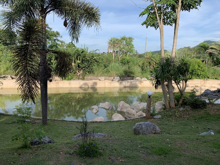 ขาย บ้านเดี่ยว 360 พาโน เขาใหญ่ ปากช่อง 75 ตรว 2นอน 3น้ำ รูปที่ 7