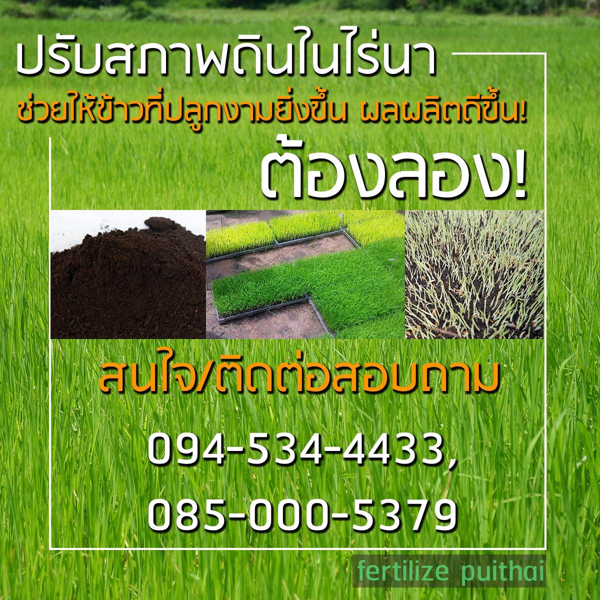 สารบำรุงดิน Organic Premium  รูปที่ 5