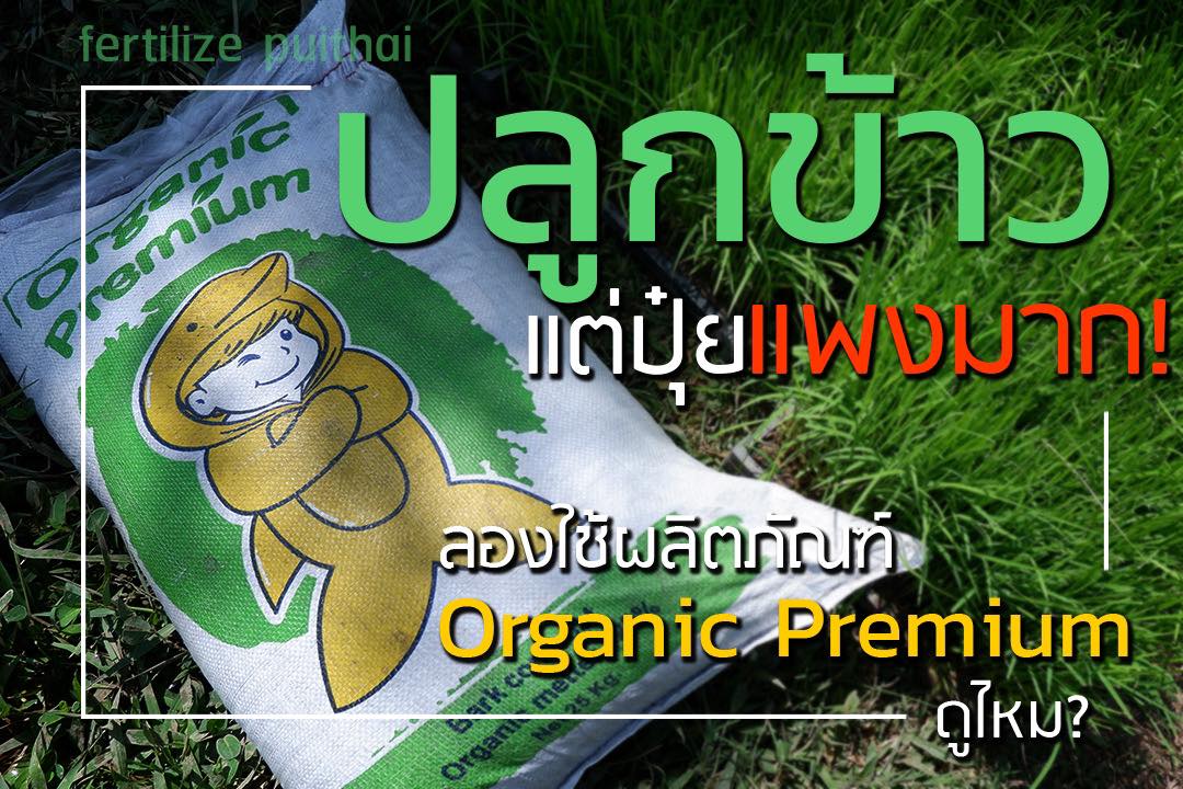 สารบำรุงดิน Organic Premium  รูปที่ 1