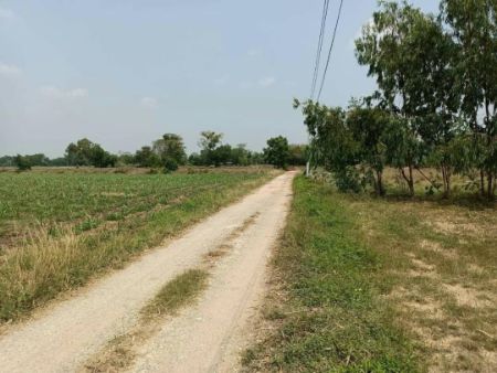 ขาย ที่ดิน โฉนดครุฑแดง น้ำ ไฟ ขอขยายได้เลยเฟส 80 บ้านไร่พัฒนา 1 ไร่ เหมาะซื้อไว้ปลูกบ้าน ทำสวน พักผ่อน ห่างถนนสายเอเซียเพียง 7 กม. รูปที่ 6