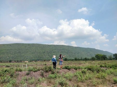 ขาย ที่ดิน โฉนดครุฑแดง น้ำไฟ พร้อมขอต่อขยายโคกสำโรง 100 ตร.วา วิวเขาตะเภาทอง ภูเขาลูกใหญ่รูปเรือสำเภา รูปที่ 5