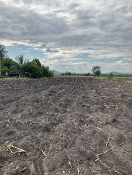 ขาย ที่ดิน วิวเขา 360 องศา ฟินเหมือนเขาใหญ่วังม่วง 3 ไร่ โฉนดครุฑแดง น้ำ ไฟ พร้อม รูปที่ 5