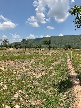 ขาย ที่ดิน วิวเขาตะเภา ฟรีโอนโคกสำโรง 120 ตร.วา เหมาะทำที่พักอาศัย โคกหนองนา บ้านสวนในฝัน รูปที่ 4