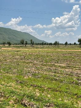 ขาย ที่ดิน วิวเขาตะเภา ฟรีโอนโคกสำโรง 120 ตร.วา เหมาะทำที่พักอาศัย โคกหนองนา บ้านสวนในฝัน รูปที่ 3