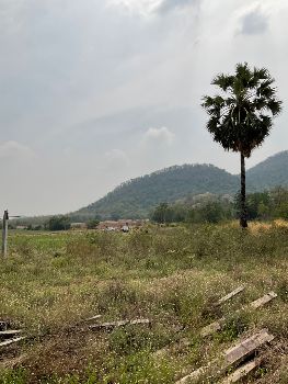 ขาย ที่ดิน บ้านไร่ ชายเขา ธรรมชาติ รอบด้านเฟส 79  เนินขาม 15 ไร่ 3 งาน 21 ตร.วา โฉนดครุฑแดง ฟรีค่าโอน ราคาต่อรองได้ รูปที่ 3