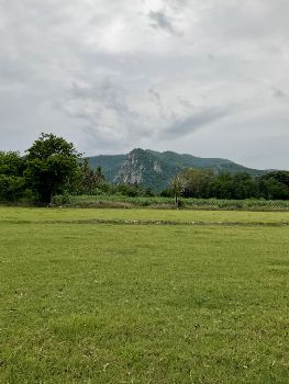 ขาย ที่ดิน โฉนครุฑแดง ความสวยงามของธรรมชาติ แบบใกล้ชิดเทือกเขาหลวง โกรกพระ 1 ไร่ มีสาธารณูปโภคที่ครบครัน น้ำไฟ รูปที่ 5