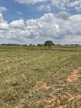 ขาย ที่ดิน โฉนดครุฑแดง วิวเขาตะเภาโคกสำโรง 100 ตร.วา เหมาะทำที่พักอาศัย โคกหนองนา บ้านสวนในฝัน รูปที่ 5