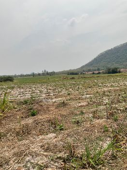 ขาย ที่ดิน บ้านไร่ ชายเขา ธรรมชาติ รอบด้านเฟส 79  เนินขาม 15 ไร่ 3 งาน 21 ตร.วา โฉนดครุฑแดง ฟรีค่าโอน ราคาต่อรองได้ รูปที่ 4
