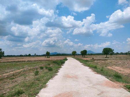 ขาย ที่ดิน วิวเขาตะเภา ฟรีโอนโคกสำโรง 120 ตร.วา เหมาะทำที่พักอาศัย โคกหนองนา บ้านสวนในฝัน รูปที่ 6