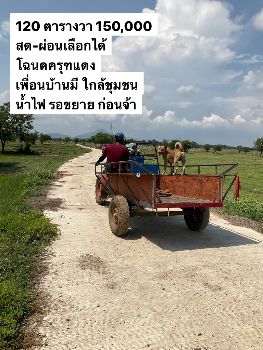 ขาย ที่ดิน วิวเขาตะเภา ฟรีโอนโคกสำโรง 120 ตร.วา เหมาะทำที่พักอาศัย โคกหนองนา บ้านสวนในฝัน รูปที่ 2