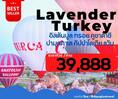 ตุรกี Lavender Turkey 8วัน5คืน