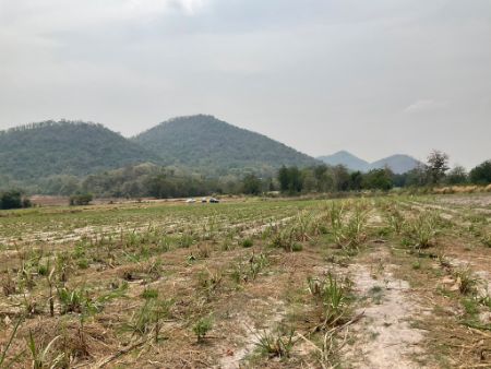 ขาย ที่ดิน บ้านไร่ ชายเขา ธรรมชาติ รอบด้านเฟส 79  เนินขาม 15 ไร่ 3 งาน 21 ตร.วา โฉนดครุฑแดง ฟรีค่าโอน ราคาต่อรองได้ รูปที่ 2
