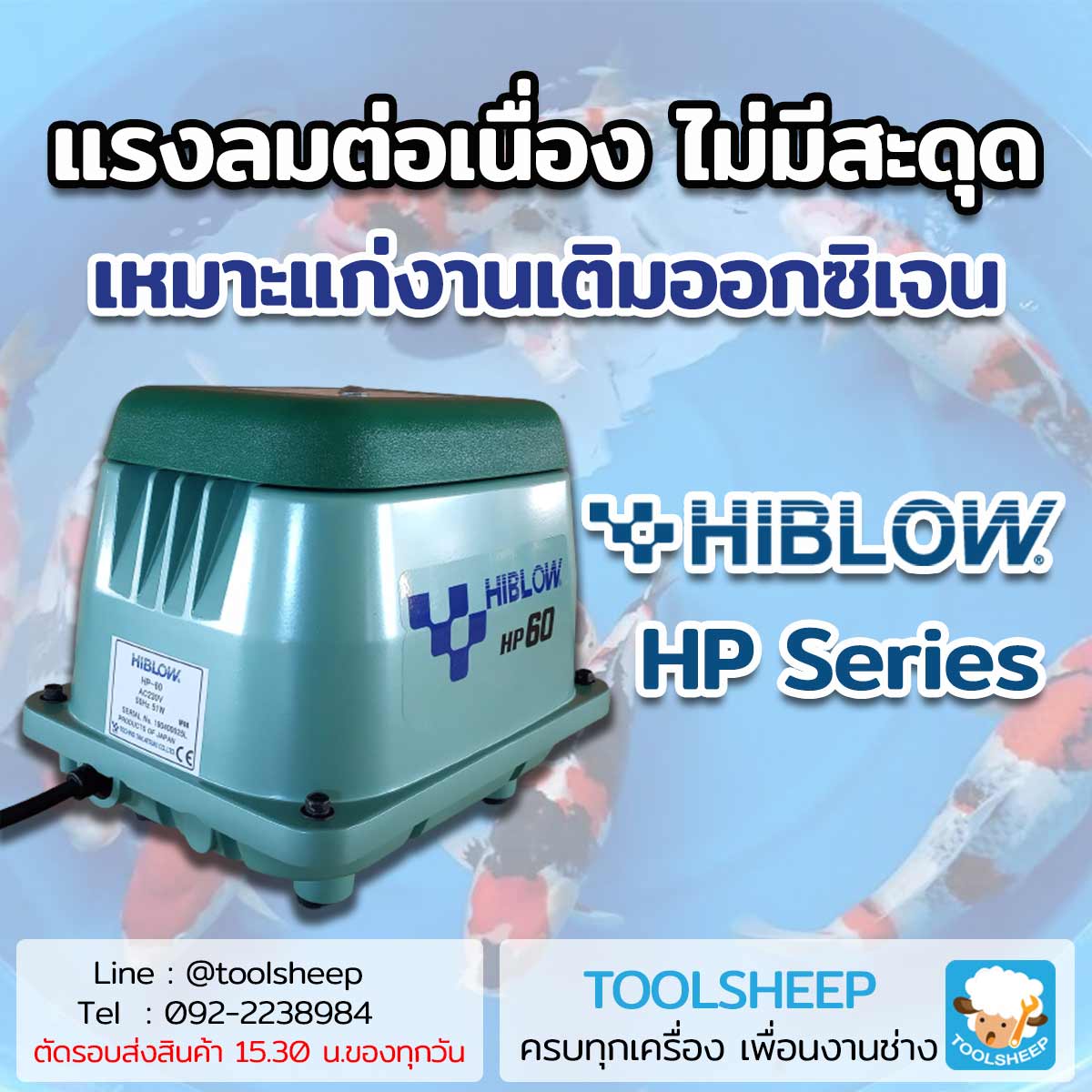 ปั๊มเติมอากาศ HIBLOW HP Series รูปที่ 1