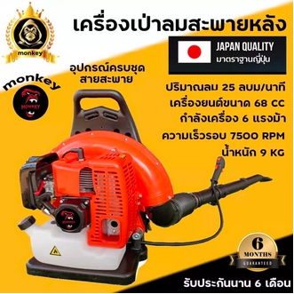 เครื่องเป่าลม เป่าใบไม้ monkey BLOWER EB650 ทำแนวกันไฟ ป้องกันไฟป่า รูปที่ 1