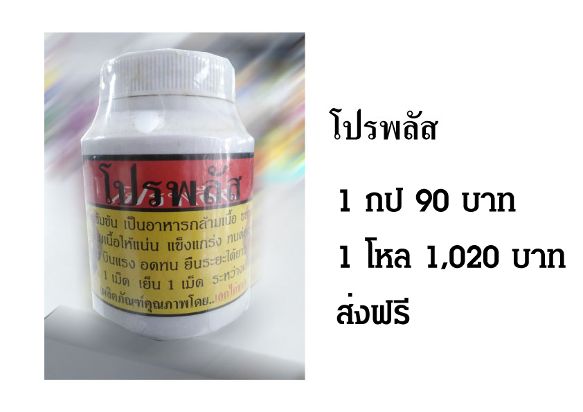 โปรพลัส โปรตีนสกัดเข้มข้น เป็นอาหารกล้ามเนื้อ ขยายกล้ามเนื้อ สร้างกล้ามเนื้อให้แน่นแข็งแกร่ง ส่งฟรี รูปที่ 1