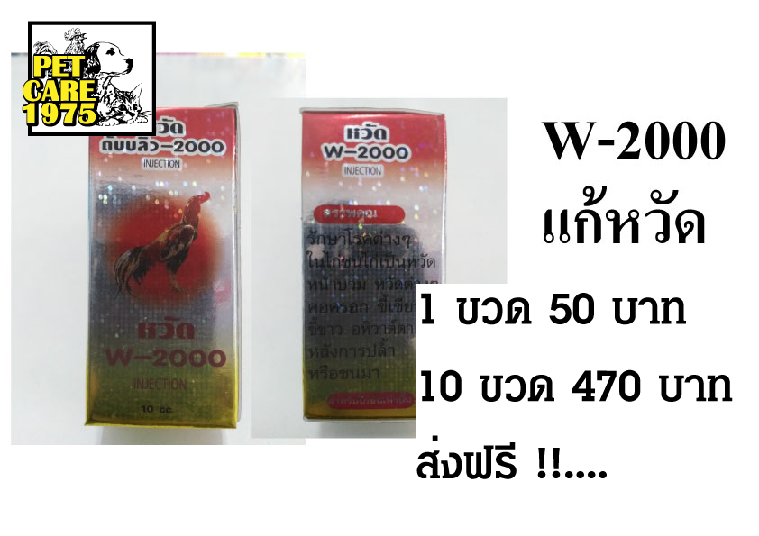 W-2000 แก้หวัด รูปที่ 1