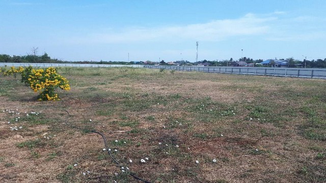 ขายที่ดินพร้อมบ้านพักตากอากาศ ใกล้หาดเจ้าสำราญ จังหวัดเพชรบุรี รูปที่ 1