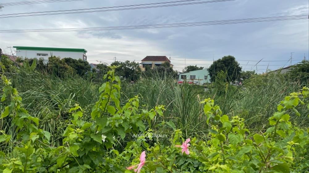 ขายที่ดินเปล่า ซอยประชาชื่น-นนทบุรี 2 งามวงศ์วาน แยกพงษ์เพชร ประชาชื่น  รูปที่ 1