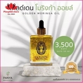 ของกำลังฮิต Panya en Moringa Oil โก ์เดน โมริงก้า ออยล์ เซรั่มน้ำมันมะรุมสกัดพิเศษ ผสมทองคำแท้ 24k 10 ml 50 ml โปรฯต่อเนื่องกันเลย