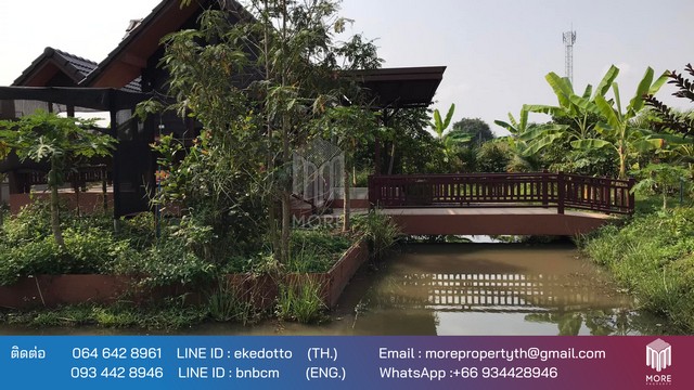 บ้าน - สันทราย  1 Bedroom 3200000 BAHT ใกล้กับ - สันทราย  บรรยากาศ ดี - สันทราย  รูปที่ 1