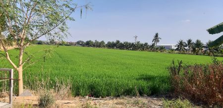 ขาย ที่ดิน อำเภอลาดหลุมแก้ว จังหวัดปทุมธานีที่ดินเปล่าติดทสงหลวงแผ่นดินสาย 345 41 ไร่ 3 งาน 13 ตร.วา ที่ดินหน้ากว้างติดทสงหลวงแผ่นดินสาย 345 รูปที่ 1