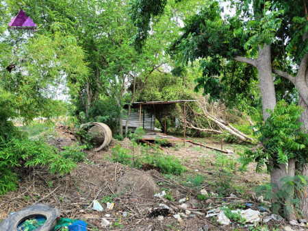ขาย ที่ดิน ขายที่ดินสวย อนาคตไกล ผังม่วงลาย ที่ดินเปล่า คลองประเวศ อ.บ้านโพธิ์ จ.ฉะเชิงเทรา 3 ไร่ ซื้อเก็งกำไร สร้างโรงงาน โกดัง รูปที่ 5