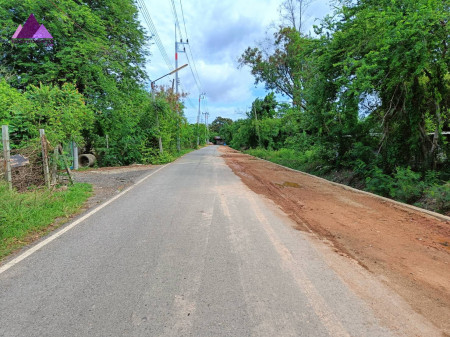 ขาย ที่ดิน ขายที่ดินสวย อนาคตไกล ผังม่วงลาย ที่ดินเปล่า คลองประเวศ อ.บ้านโพธิ์ จ.ฉะเชิงเทรา 3 ไร่ ซื้อเก็งกำไร สร้างโรงงาน โกดัง รูปที่ 8