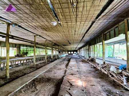 ขาย ที่ดิน เขต EEC อนาคตไกล ผังม่วง ที่ดินเปล่า คลองประเวศ อ.บ้านโพธิ์ จ.ฉะเชิงเทรา 11 ไร่ เหมาะกับซื้อเก็งกำไร สร้างโรงงาน รูปที่ 4