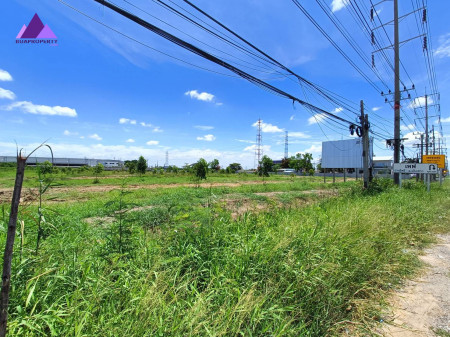 ขาย ที่ดิน เขตEEC ใกล้TOYOTAบ้านโพธิ์ ผังสีม่วงลาย ที่ดินเปล่า คลองประเวศ อ.บ้านโพธิ์ จ.ฉะเชิงเทรา 13 ไร่ 68 ตร.วา ซื้อเก็งกำไร สร้างโรงงาน รูปที่ 5