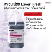 ลาเวนเฟรช Laven Fresh  รูปที่ 1