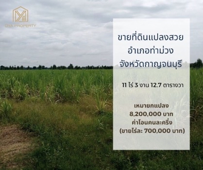 ขาย ที่ดิน ที่ดินแปลงสวย  11 ไร่ 3 งาน 12.7 ตร.วา อำเภอท่าม่วง ห่างจากถนนสายหลัก(ถนนแสงชูโต) กรุงเทพ-กาญจนบุรี ไม่เกิน10 กม. รูปที่ 1