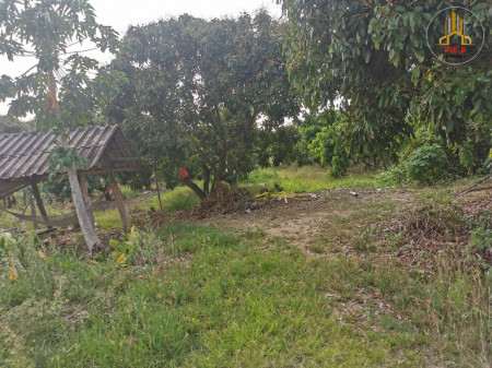 ที่ดินซอยบ้านแม่กุ้งบก จังหวัดเชียงใหม่ (2,601 บาทต่อตารางวา) รูปที่ 2