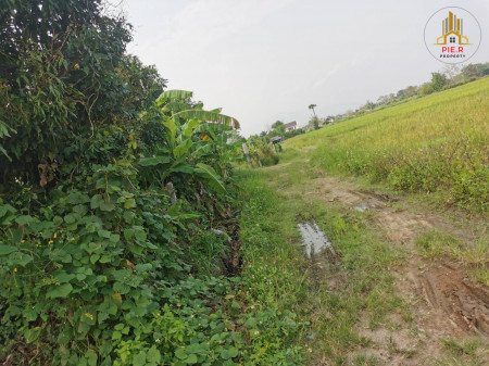 ที่ดินซอยบ้านแม่กุ้งบก จังหวัดเชียงใหม่ (2,601 บาทต่อตารางวา) รูปที่ 3