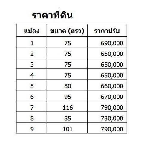 ขายที่ดินจัดสรร บ้านค่าย ระยอง พื้นที่เริ่มต้น 75 ตรว.แบ่งขายหลายแปลง ห่างจากเซ็นทรัลระยอง 10 กม  รูปที่ 1