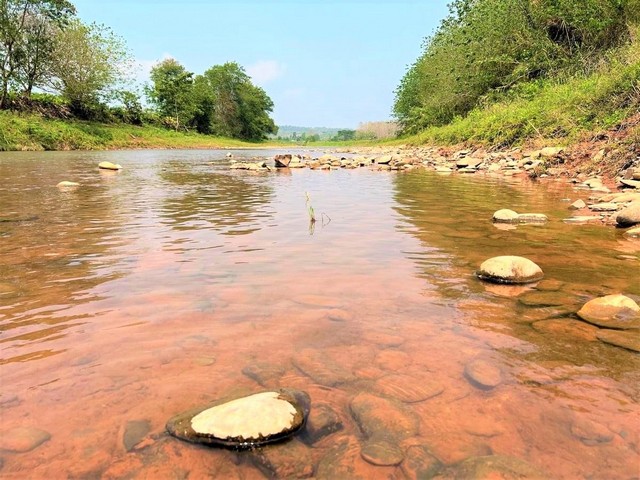 ที่ดินขายริมแม่น้ำน่าน วิวแม่น้ำและภูเขา สวยมาก จ.น่าน รูปที่ 1