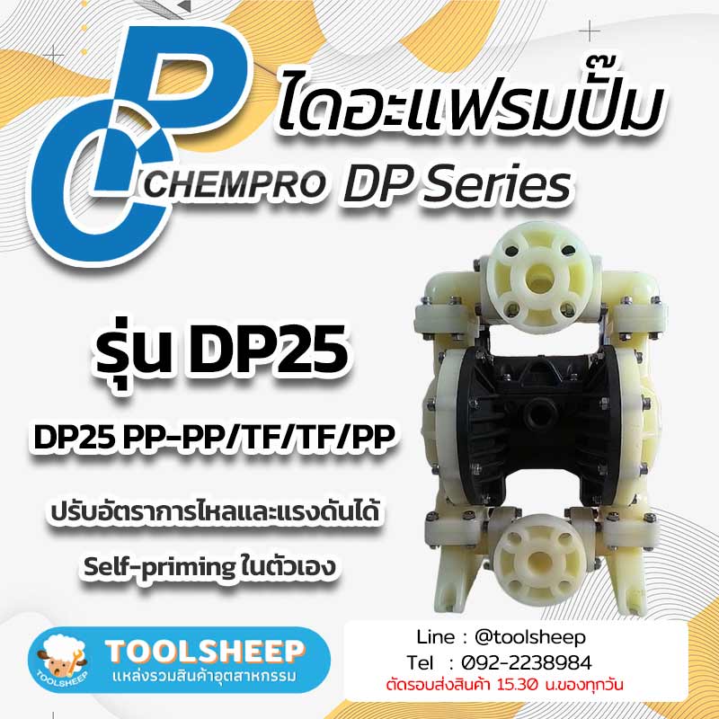 ไดอะแฟรมปั๊ม CHEMPRO DP Series รูปที่ 4