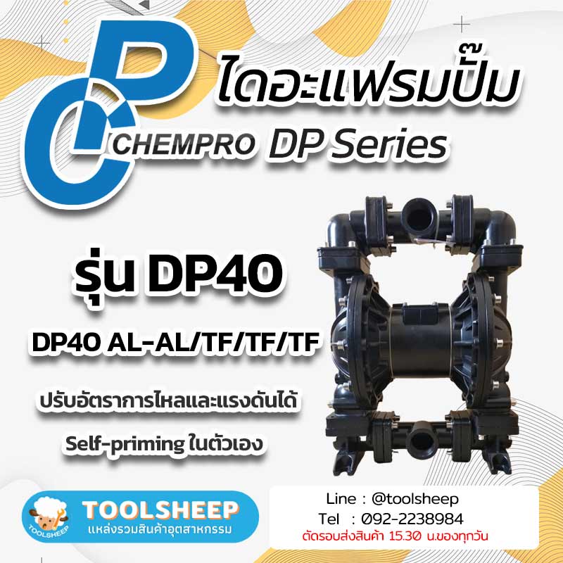 ไดอะแฟรมปั๊ม CHEMPRO DP Series รูปที่ 5