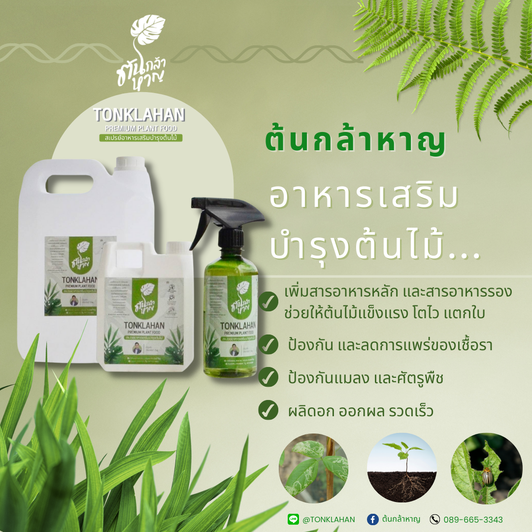 สเปรย์อาหารเสริมต้นไม้ ต้นกล้าหาญ รูปที่ 7