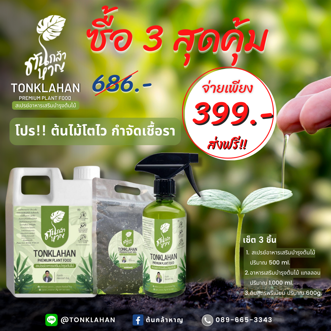 สเปรย์อาหารเสริมต้นไม้ ต้นกล้าหาญ รูปที่ 6