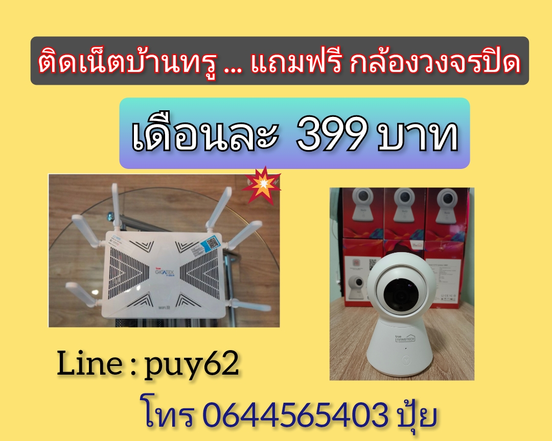 เน็ตบ้านทรู รูปที่ 1