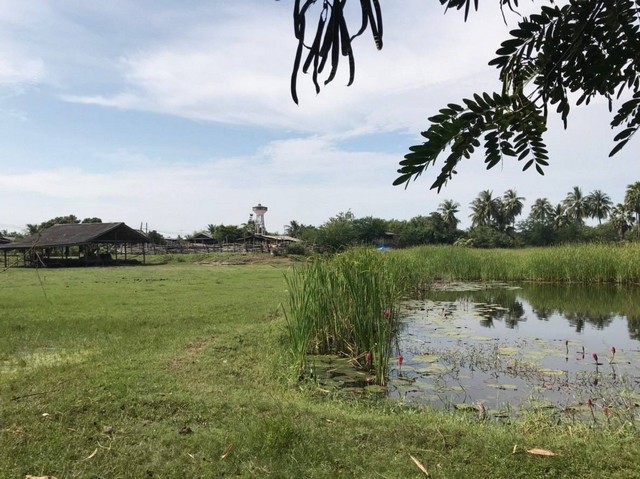 ขาย ที่ดินเปล่า สวยมาก บรรยากาศดี ทำเลเยี่ยม บางแพ ราชบุรี รูปที่ 1