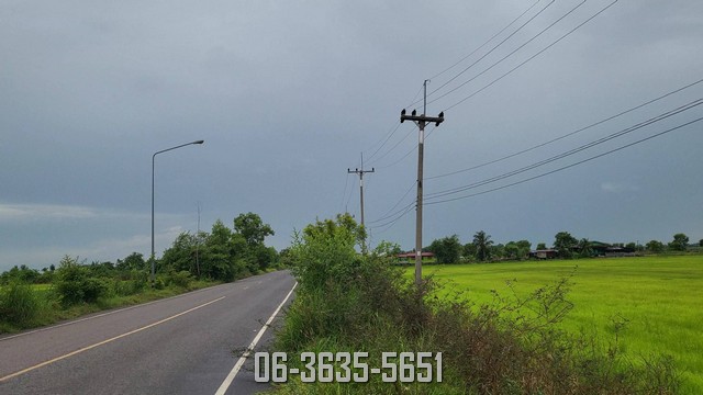 ขายติดถนนลาดยาง 2 ด้าน 19 ไร่ 1 งาน 64 ตรว. ต.ท่าเรือ อ.ปากพลี จ.นครนายก รูปที่สวยมาก รูปที่ 1