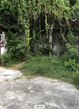 ขายที่ดินทำเลทอง สุขุมวิท 64 ที่ดิน 196 ตรว. ใกล้ BTS บางจากเพียง 2 กม. ปุณณวิถี 1.3 กม รูปที่ 2